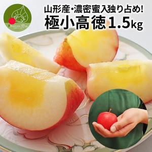 【2024年11月中旬 先行予約】 りんご 高徳(こうとく) 極小 独り占め 約1.5kg 約12〜15玉入 山形県産｜azimiya