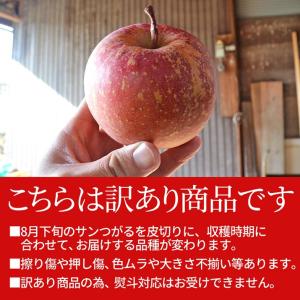山形県産 秋映 リンゴ 10kg 30〜50玉...の詳細画像1