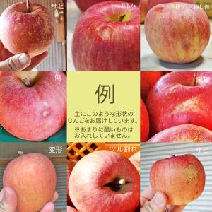山形県産 秋映 リンゴ 10kg 30〜50玉...の詳細画像3