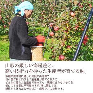 山形県産 秋映 リンゴ 10kg 30〜50玉...の詳細画像4