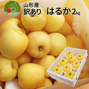 ＼只今、お届け中！／ りんご 蜜入り はるか 訳あり 2kg フルーツ 山形県産 約5〜10玉入 家庭用 お取り寄せ 名産品 送料無料 果物 小玉 甘い香り｜azimiya