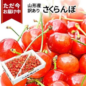 さくらんぼ 佐藤錦 or 紅秀峰 1kg 自宅用 訳あり お得用 ご家庭用 山形 山形県産 さくらんぼ訳あり サクランボ チェリー さくらんぼ 送料無料｜グルメギフトお取り寄せ山形eLab