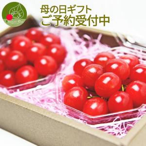 即日発送OK！／ 備蓄米 約5年 長期 保存 つや姫 2kg×5袋 無洗米 令和7