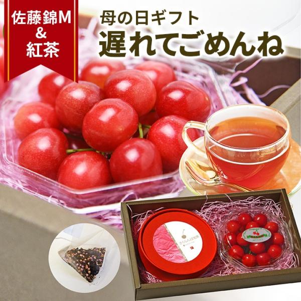 母の日 遅れてごめんね ギフト さくらんぼ 佐藤錦 Ｍ玉 100g ＆ さくらんぼ紅茶 5包み 山形...