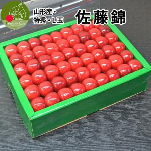 さくらんぼ 佐藤錦 or 紅秀峰 500g 特秀品 鏡詰め ギフト 贈答 2L