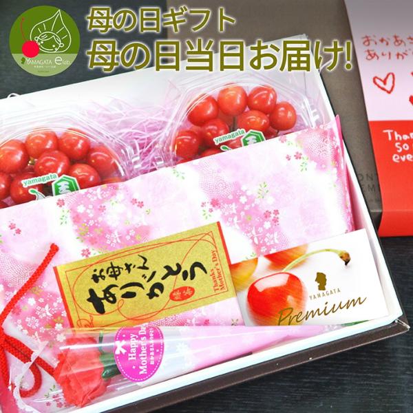 母の日 ギフト さくらんぼ 佐藤錦 Mサイズ 200g 山形 秀品 ＆ 新茶 八女茶 80g セット...