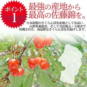 さくらんぼ 佐藤錦 700g 秀品 ギフト 贈...の詳細画像1