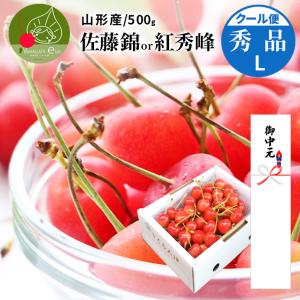 お中元 2026/6/19-7/15お届け さくらんぼ 旬のさくらんぼ 500g
