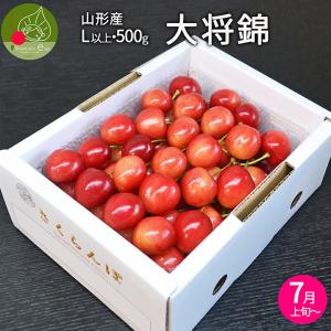 予約 4月上旬発送】 生 花山椒 約 50g 数量限定商品 希少 収穫したてを