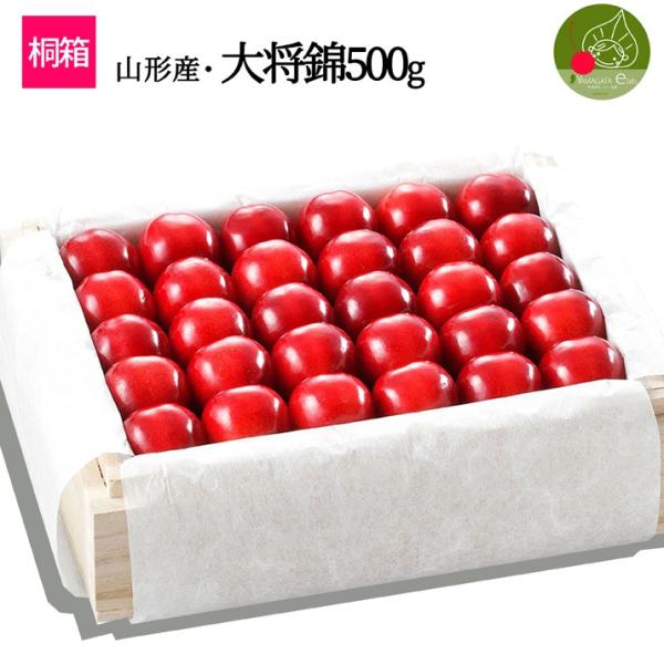 さくらんぼ 大将錦 2-3L玉 500g 桐箱 山形 特秀 2025 山形県産 サクランボ 特選 手...