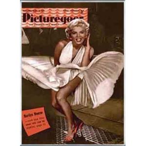 ポスター アート Marilyn Monroe - Picturegoer - Dress（フォトグラフ） 額装品 アルミ製ベーシックフレーム｜aziz