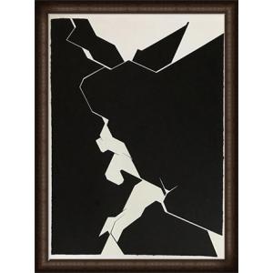 額装済/Dovima With Elephants/リチャードアベドン/ポスター 額装済/Dovima With Elephants/リチャードアベドン/ポスター