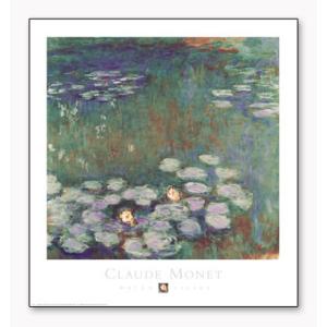 Water Lilies｜aziz