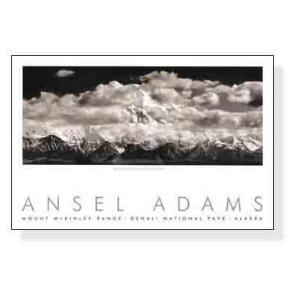 Pine Forest in Snow (エンボスマーク入)（アンセル アダムス） 額装品