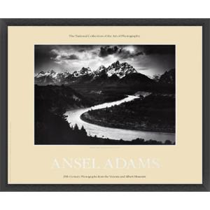 ポスター アート Oak Tree - Sunset City California (エンボスマーク