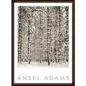 Pine Forest in Snow (エンボスマーク入)（アンセル アダムス） 額装品 ウッドハ...