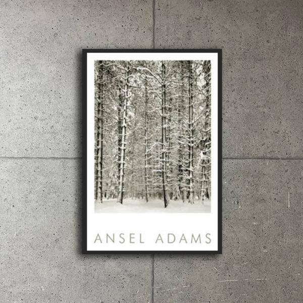 Pine Forest in Snow (エンボスマーク入)