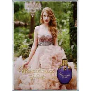 ポスター アート テイラー スウィフト Wonderstruck（テイラー スウィフト） 額装品 ア...