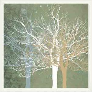 Quiet Forest（クラーク） 額装品 ウッドベーシックフレーム