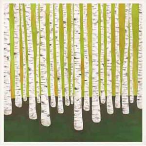 ポスター アート Birch Forest（リサ コンドン） 額装品 ウッドベーシックフレーム