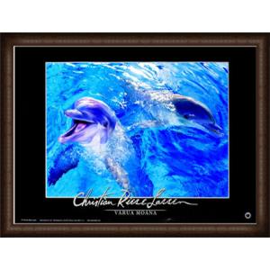 額装済/Flowers Various/アンディウォーホル/ポスター/インテリア : az