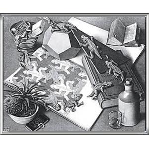 爬虫類（MC エッシャー） 額装品 ウッドハイグレードフレーム : az