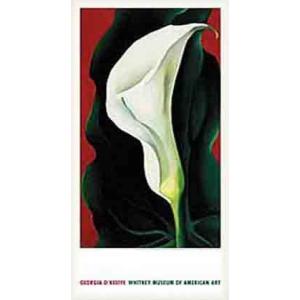 Lake George Autumn 1927(ジョージア オキーフ)額装済ポスター : az