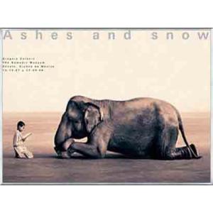 Ashes and snow 象に本を読んで聞かせる少年（グレゴリー コルベール） 額装品 アルミ製ベーシックフレーム｜aziz