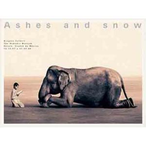 Ashes and snow 象に本を読んで聞かせる少年（グレゴリー コルベール） 額装品 ウッドベ...