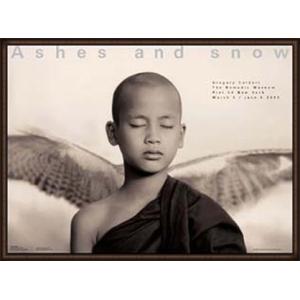 Ashes and snow　ニューヨーク Winged Monk（グレゴリー コルベール） 額装品...