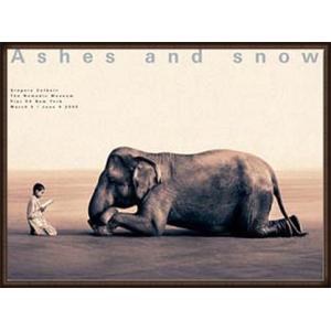 Ashes and snow 象に本を読んで聞かせる少年（グレゴリー コルベール） 額装品 ウッドハ...