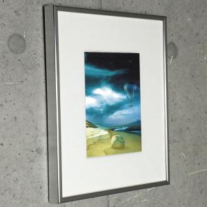 限定マット額装品/Kaws COMPANION（ブライアン・ドネリー） 額装品