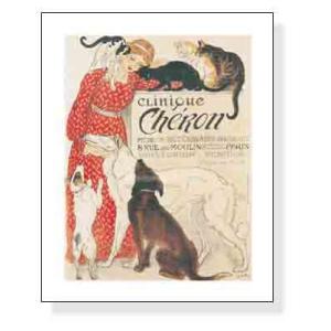 シェロン動物病院