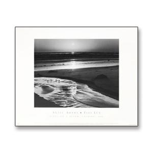 額装品/Pine Forest in Snow/エンボスマーク/アンセルアダムス 額装品/Pine Forest in Snow/エンボスマーク/アンセルアダムス
