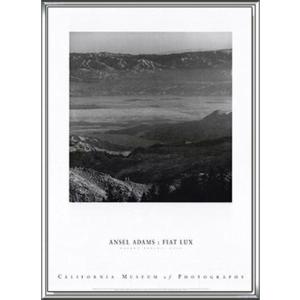 限定マット額装品/ゲルハルト・リヒター/Betty 1977 : azポスター