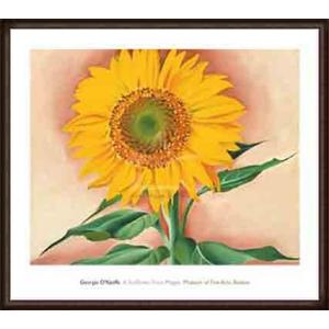 ポスター アート Sunflower from Maggie 1937（ジョージア オキーフ） 額装品 ウッドハイグレードフレーム｜aziz