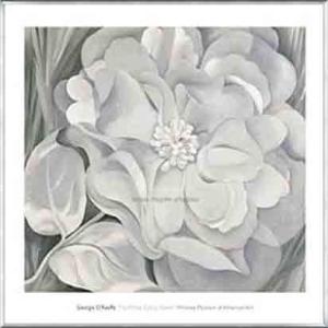 ポスター アート The White Calico Flower  1931（ジョージア オキーフ） 額装品 アルミ製ベーシックフレーム｜aziz