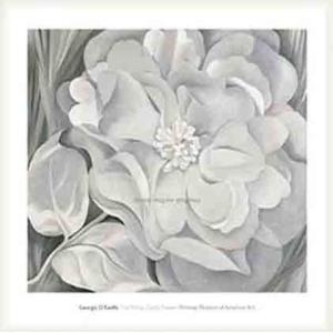 ポスター アート The White Calico Flower  1931（ジョージア オキーフ） 額装品 ウッドベーシックフレーム｜aziz