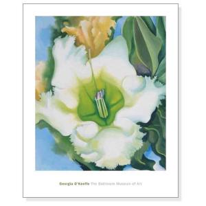 ポスター アート Red Amaryllis、 1937（ジョージア オキーフ） 額装品