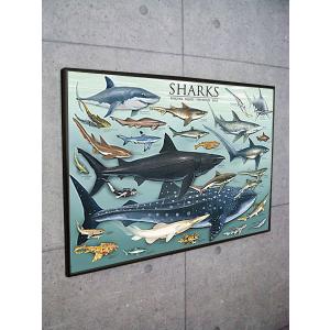 L.M.S Best Way/アドルフ ムーロン カッサンドル/アートポスター : az