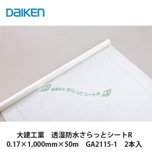 大建工業【シージングボード釘（SN-40） GA21036 6箱入（約1600本/1箱