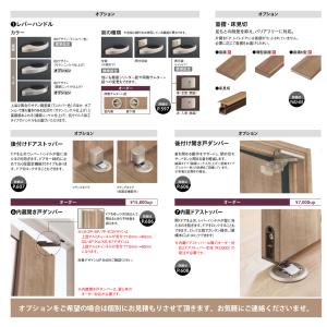 大建工業 ieria(イエリア) トイレドア ...の詳細画像3