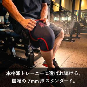 AZLIV ニースリーブ Standard 7...の詳細画像2