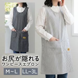 エプロン ヴィシー habitue （ キッチンエプロン アビチュアル 綿100