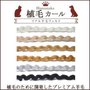 ハマナカ リアル羊毛フェルト 植毛カール 30g/手芸用品