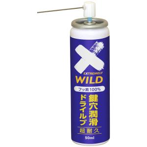 (送料無料)AZ DKL-001 鍵穴潤滑 ド...の詳細画像2