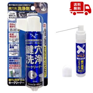エーゼット (送料無料)AZ 鍵穴用洗浄剤 潤滑剤 キークリーナー 100ml