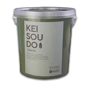 U-SELECT (ユーセレクト) 珪藻土 左官 塗り壁 壁材 塗料 KEISOUDO PLASTER TYPE 5kg MOSSの商品画像
