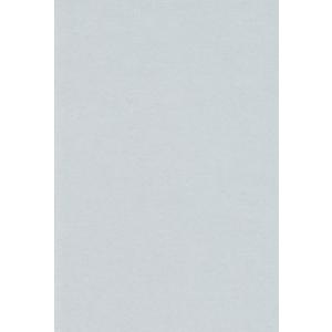 エスケント 色画用紙 四切 はいいろ 10枚 224010