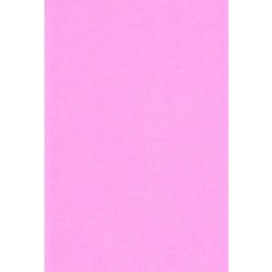 エスケント 色画用紙 四切 もも 10枚 224210